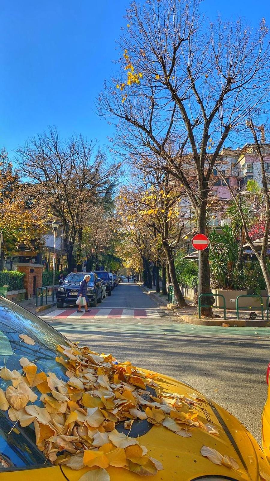 טיראנה Near Me Apartments מראה חיצוני תמונה